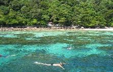 オプショナルツアーイメージ