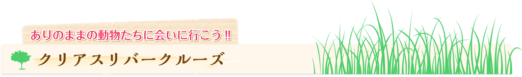ありのままの動物たちに会いに行こう!!クリアスリバークルーズ